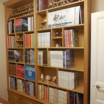 Bibliothèque pour BD - Bourg la Reine - Hauts de seine 92